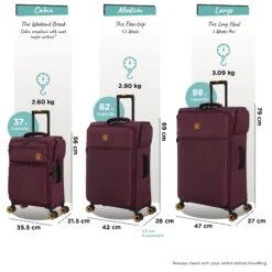 Simultaneous - Medium (French Port) -IT Luggage Store Simultaneous Set French Port dims weights 443a71bd 6cea 4f3f 803e 98b14e13a600